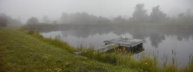 Misty Pond photo