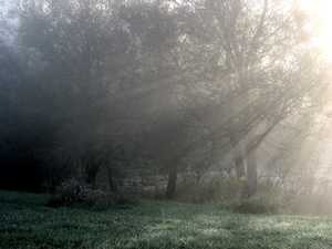 "Morning Rays" image