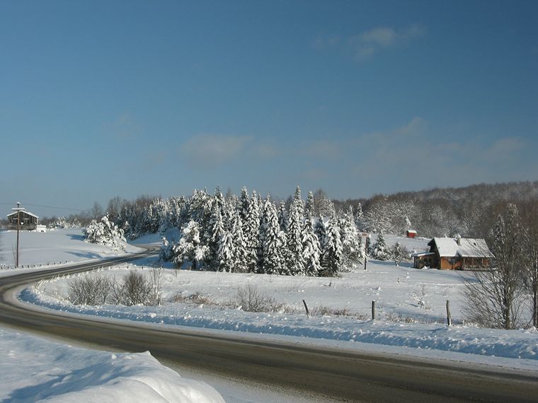 Winter on Nanticoke Road photo