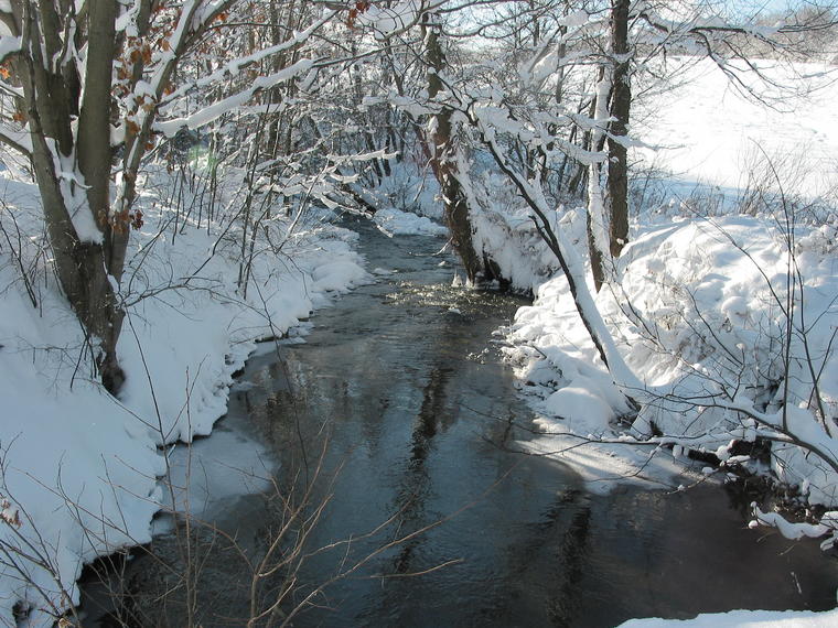 Brook in Winter photo