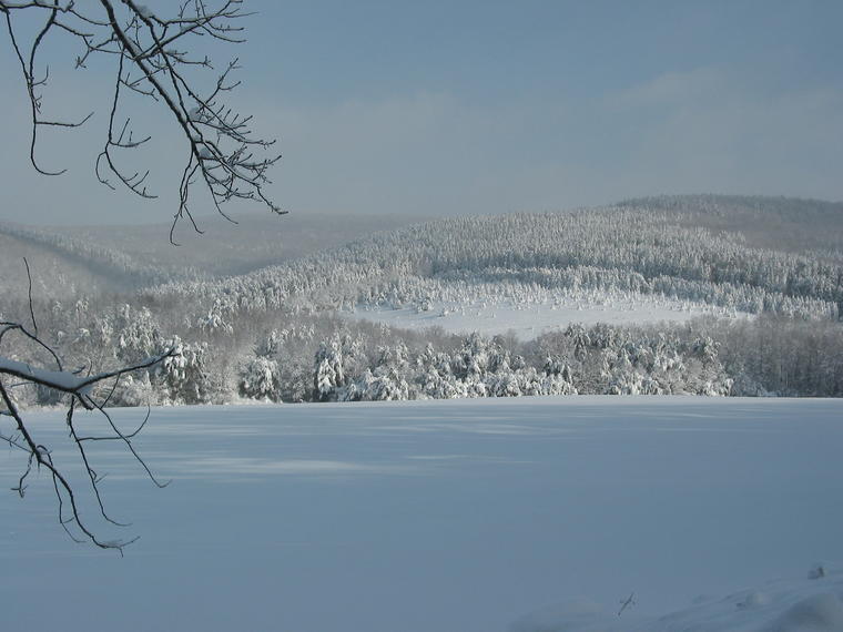 Snowy Landscape photo