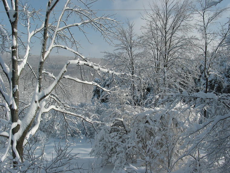 Snowscape I photo