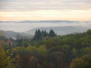 "Valley Fog" image