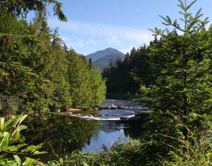 "Whiteface from Ausable" image
