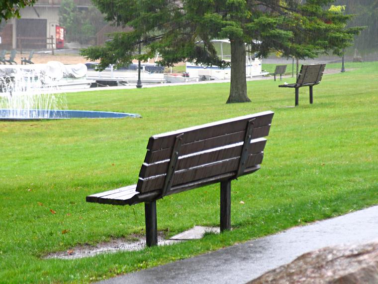 Lonely Bench photo