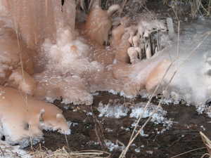 "Bottom of Ice Wall" image