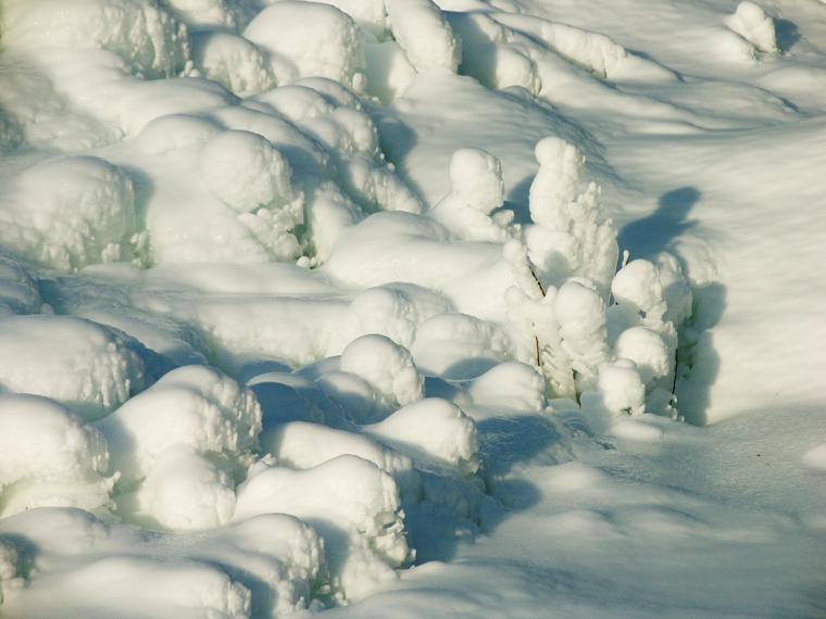 Nature's Ice Sculptures photo