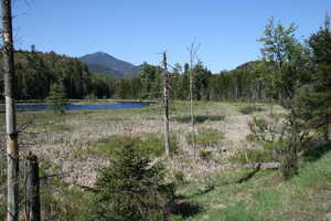 "Whiteface from Route 86" image