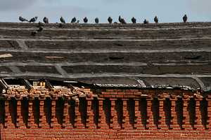 "Birds, Bricks, and Roof" image