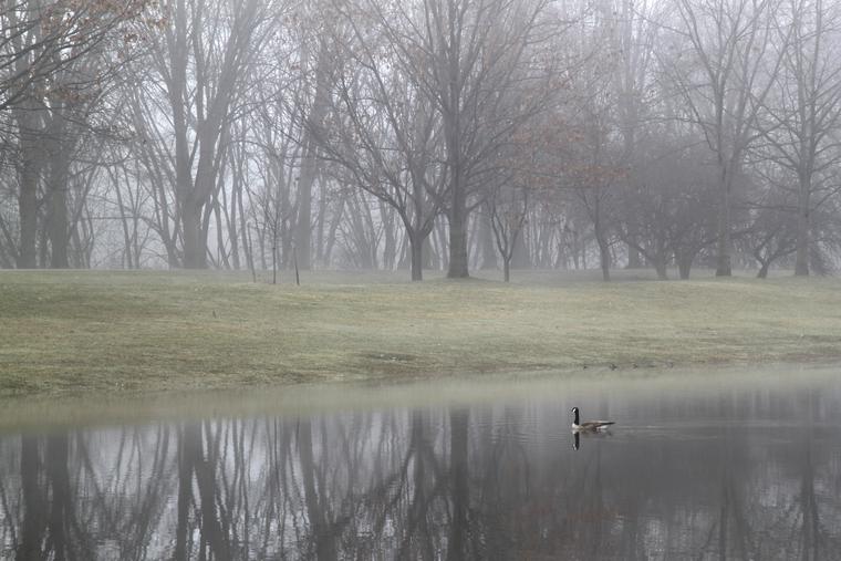 Foggy morning in Otsiningo Park photo