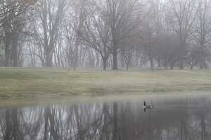 "Foggy morning in Otsiningo Park"