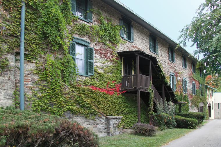 Ivy-covered winery building photo