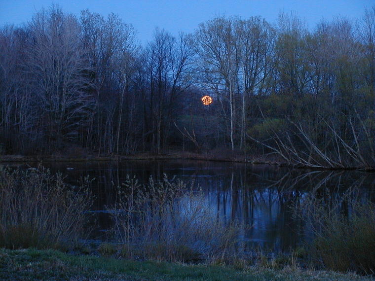 Moonrise photo